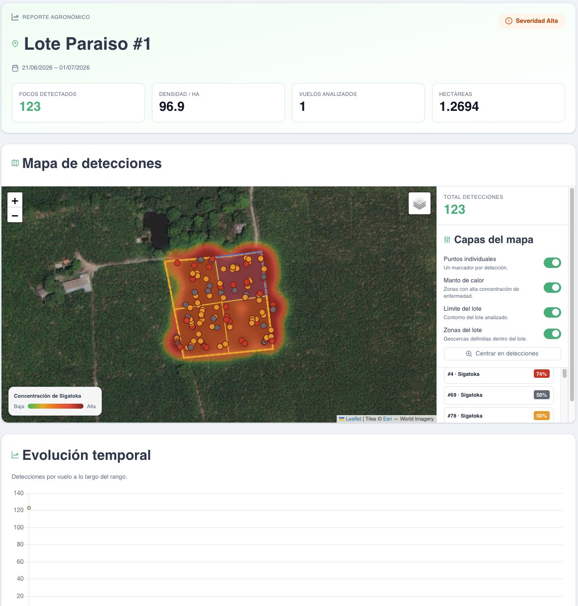 Reporte agronómico de AgroIA con mapa de calor de detecciones de sigatoka